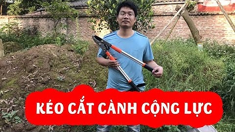 Kéo cắt cành cộng lực tay dài mua ở đâu và giá bao nhiêu tiền