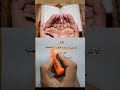 أربعة لاتتركها طوال حياتك 