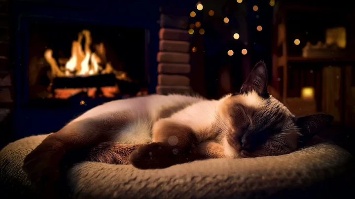 Watch the video about Siamese Cat Purring Sound ASMR 🔥 Christmas Fireplace Crackling Noise & Sleeping Cat Sounds for Cats