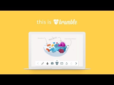Tutoring Transformed with Bramble's Online Classroom
