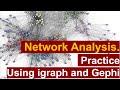 Network Analysis (2) Practice Using igraph and Gephi