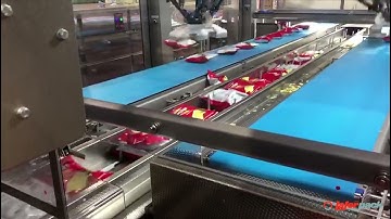 Laferpack - Multipack packaging line with pick&place
