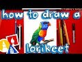 How To Draw A Realistic Rainbow Lorikeet
