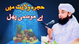 Hujra-e-wilayet may bay-mosmi phal |Raza Saqib mustafai 2023