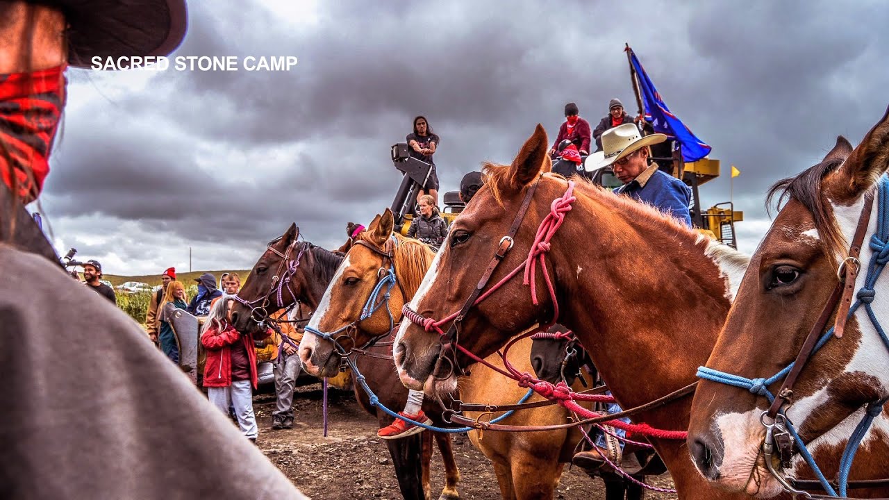 Water Protectors Lock Their Bodies to Machines to Stop Dakota Access Pipeline Construction