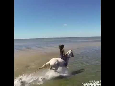 يا موج خدني ماعك يا بحر غركني لنو محبوب لقالب هه ساعا فاراكني