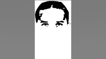 Sane drawing by python sketchpy #website #python #turtle #css