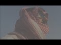 لبيه ياساره ولبيه يامنيره للمبدع مدغم ابو شيبه اداء المنشد مسلم الرشيدي للابداع بصمه لبيه ياساره ولبيه يامنيره للمبدع مدغم ابو شيبه اداء المنشد مسلم الرشيدي للابداع بصمه