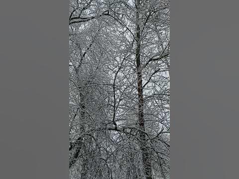 Рождесто - YouTube