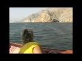 Märchenland Oman 2 (Musandam)