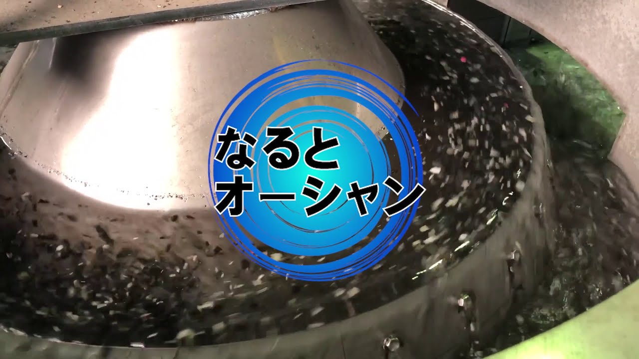 なるとオーシャン~水流式重比重選別機~ - YouTube