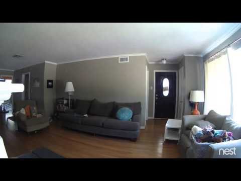 Nest Cam | Break In - Nest Cam | Break In