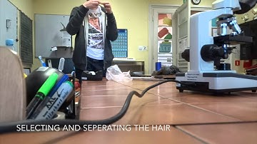 IB Group 4 project 2015