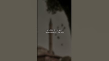تلاوة تحبس الأنفاس #الشيخ_بدر_المشاري #بدر_المشاري #دويتو #لايك #اكسبلور