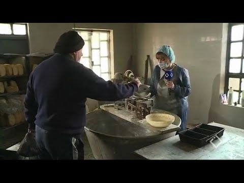 ბჟუჟის პური; ვასილევის პური;  სუპერმარკეტი “მოდერნი”.