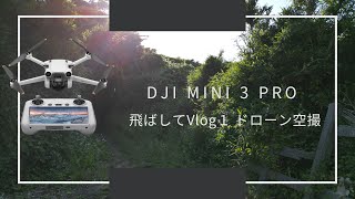 DJI mini3 Proを飛ばしてVlog１ ドローン空撮