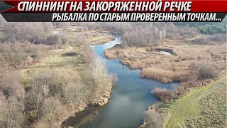 Рыбалка на спиннинг на небольшой закоряженной речке. Ловля окуня и щуки в ноябре