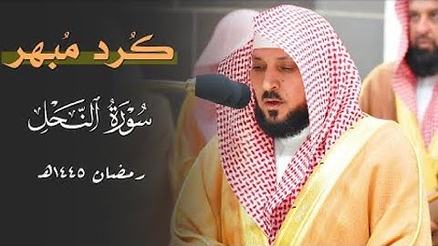 سورة النحل : ٣٠ - ٥٥ | صلاة التراويح ليلة ١٨ رمضان ١٤٤٥ هـ | فضيلة الشيخ د.ماهر المعيقلي