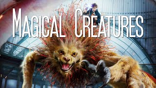 Fantastic Beasts and Where to Find Them || Magical Creatures