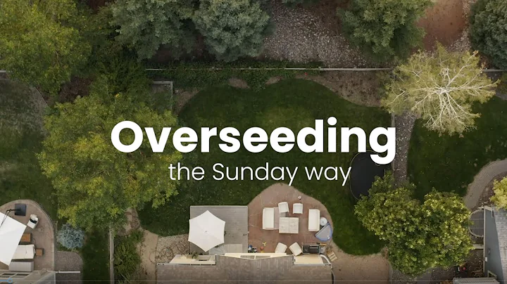 Overseed Your Lawn: Easy Step by Step Guide for Naturally Healthy Lawn