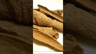 What is Vietnamese Saigon Cinnamon