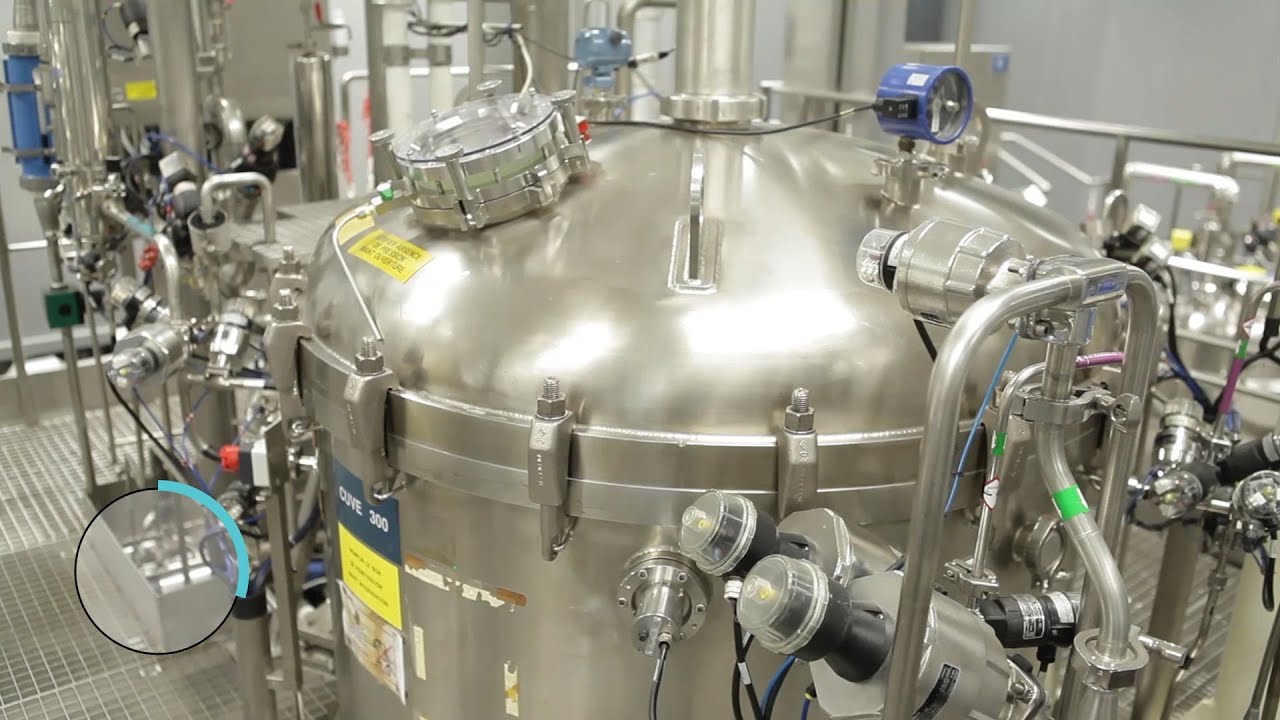 Chimex factory, Tours — industrial report