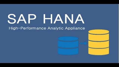 SAP HANA LIVE DEMO - 18th March 2017