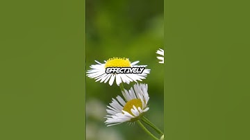 Scientists Discover Method to Reverse Aging with Simple Gene Reset!