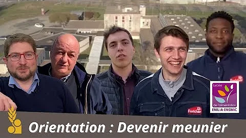 Comment devenir meunier ?