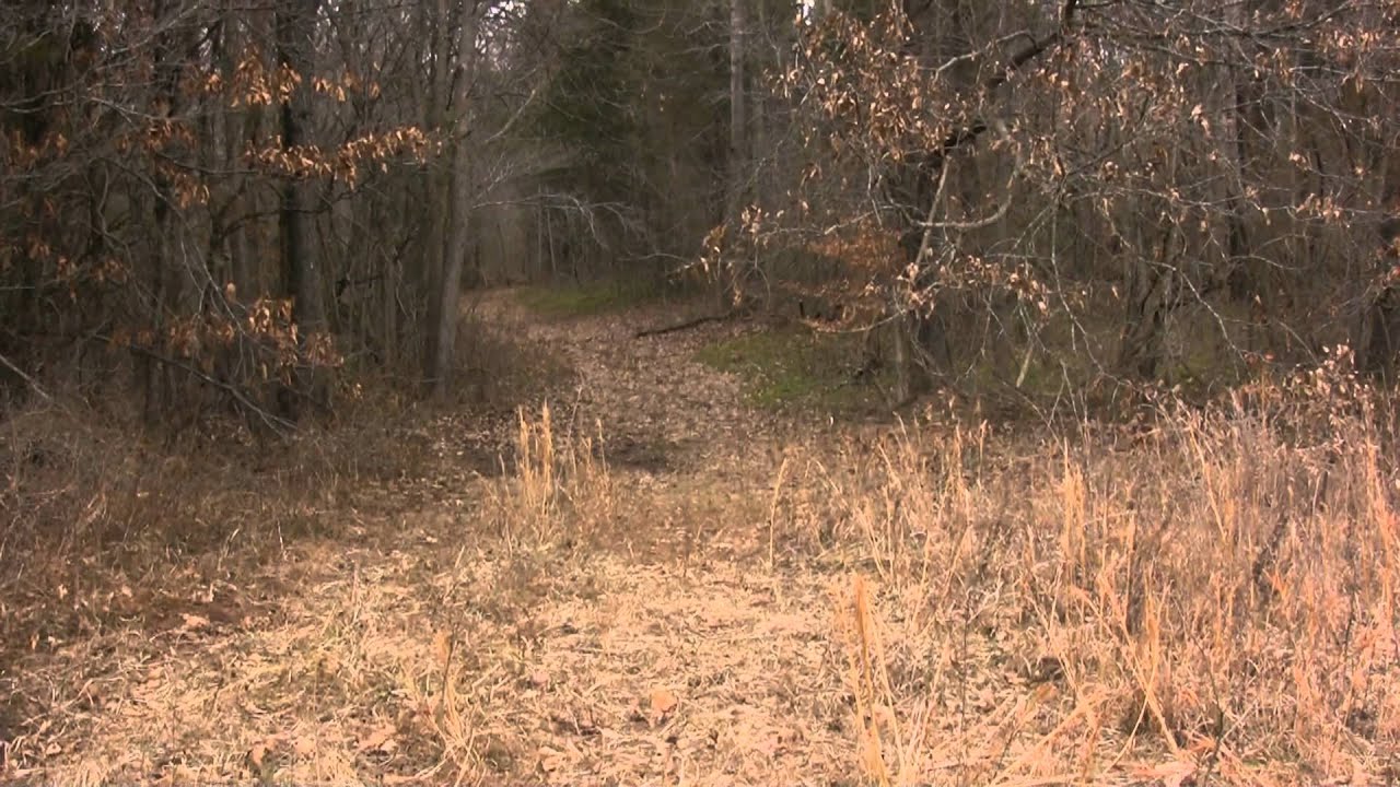 Filming on the farm, looking for sheds or coyotes