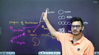 L3: Prokaryotic Cell | Cell: The Unit of Life| 11th Class Biology| HyperBiologist Batch #VipinSharma