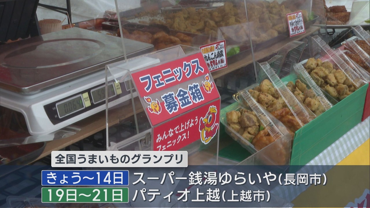 長岡花火」打ち上げ費用確保へ NPO法人が募金呼びかけ【新潟】UX