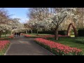 Keukenhof 2017 : Come and make a virtual Keukenhof tour!