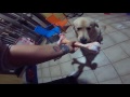 Beginning of video