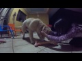 Middle of video