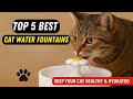 Top 5 Best Cat Water Fountains 2025 | Keep Your Cat Healthy & Hydrated