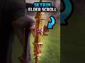 The Elder Scroll From Skyrim. #skyrim #gaming #elderscrolls