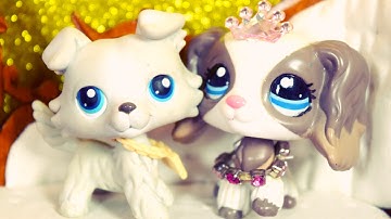 LPS - Tips voor het maken van video