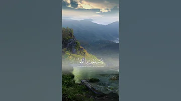 القارئ شريف مصطفى سورة النساء 