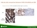Webinar: New Tool for Antibody Specificity Testing