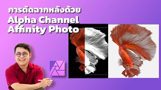 สอน ​Affinity Photo การตัดฉากหลังด้วย Alpha Channel