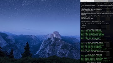 selenium webdriver demo