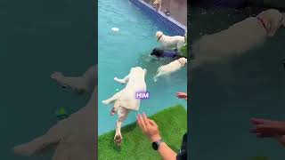 He Just Needed A Little Push