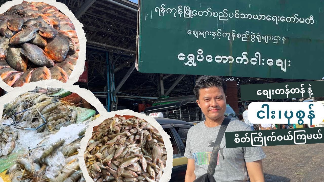 ငါး ပုစွန်နဲ့ ပင်လယ်စာတွေ စျေးတန်တန်နဲ့ ဝယ်လို့ရမယ့် လှိုင်က​ရွှေပိတောက်ငါးစျေးကြီး