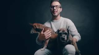 Top 10 Pet Cat and Dog Photography Tips 2019 screenshot 1
