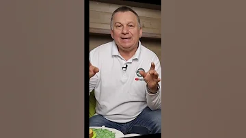 Проволочника не будет! #shorts