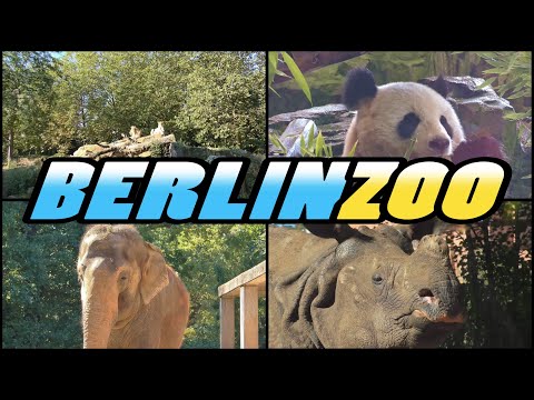 Видео: Берлиний Tiergarten-ийн гарын авлага