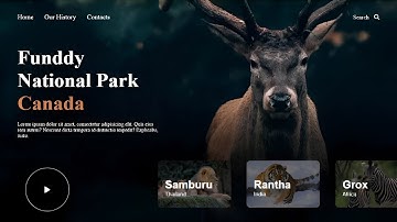 Responsive National Park Website Using HTML & CSS | Wildlife Web Design Project 2025