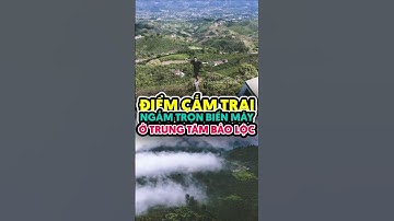 Đồi săn mây ở Bảo Lộc đẹp không khác gì Tây Bắc