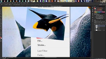Bài 3 Nhóm Công Cụ Vùng Chọn - P2